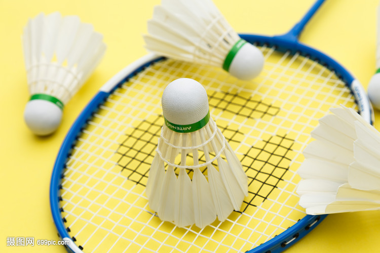 羽毛球——马来西亚大师赛：松山奈未志田千阳晋级女双16强